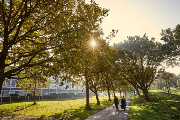 Stengårdsvej. Foto: Steffen Stamp fra Realdania